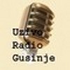 http://www.sviraradio.com/svira.php?radio_naz=radio-gusinje