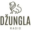 http://www.sviraradio.com/svira.php?radio_naz=1614-radio-dzungla-3