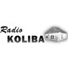 http://www.sviraradio.com/svira.php?radio_naz=1649-radio-koliba