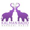https://www.sviraradio.com:443/svira.php?radio_naz=1616-kalman-plus-radio